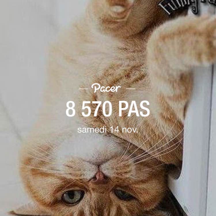 🏴‍☠️ Vero 🇨🇦 🚶🏼‍♀️🏃🏼‍♀️🎶 post 1