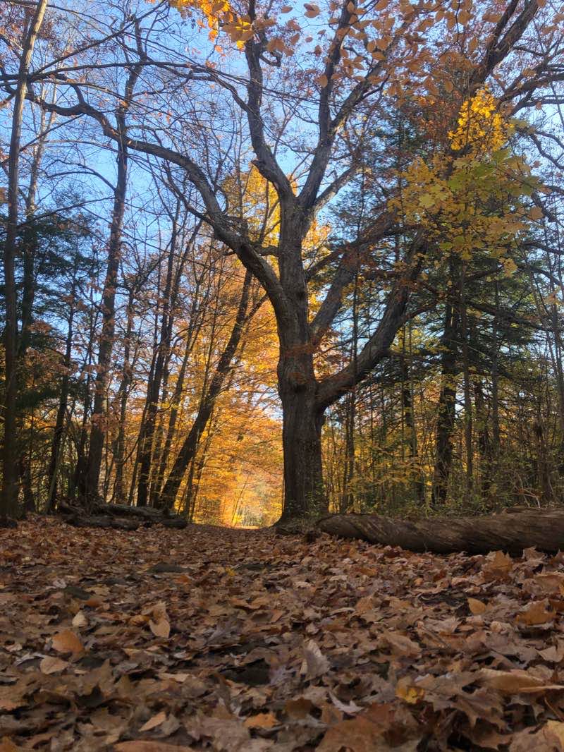 walking near me in Wick Recreation Area in winter