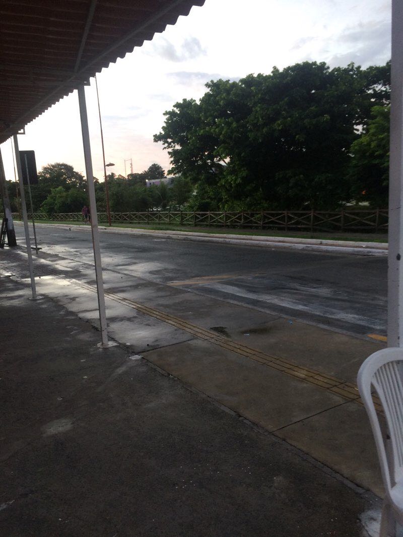 walking near me in Praça dos 46 in summer