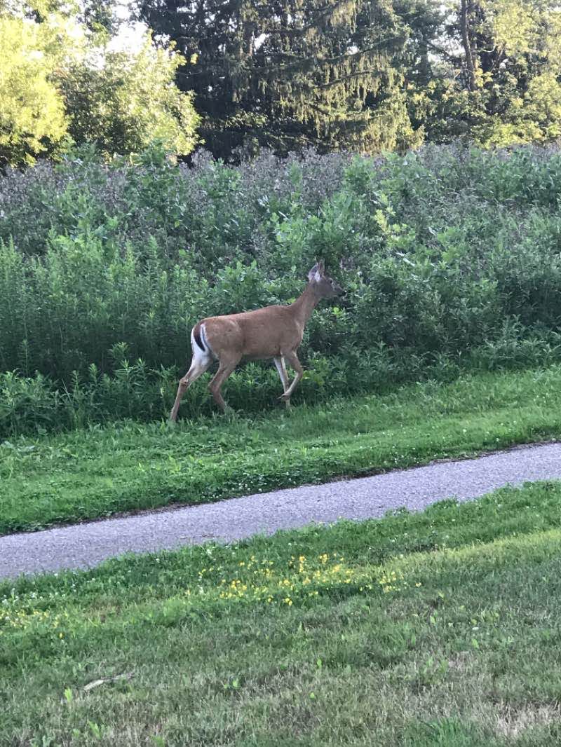 walking near me in Oakwood Green Park in winter