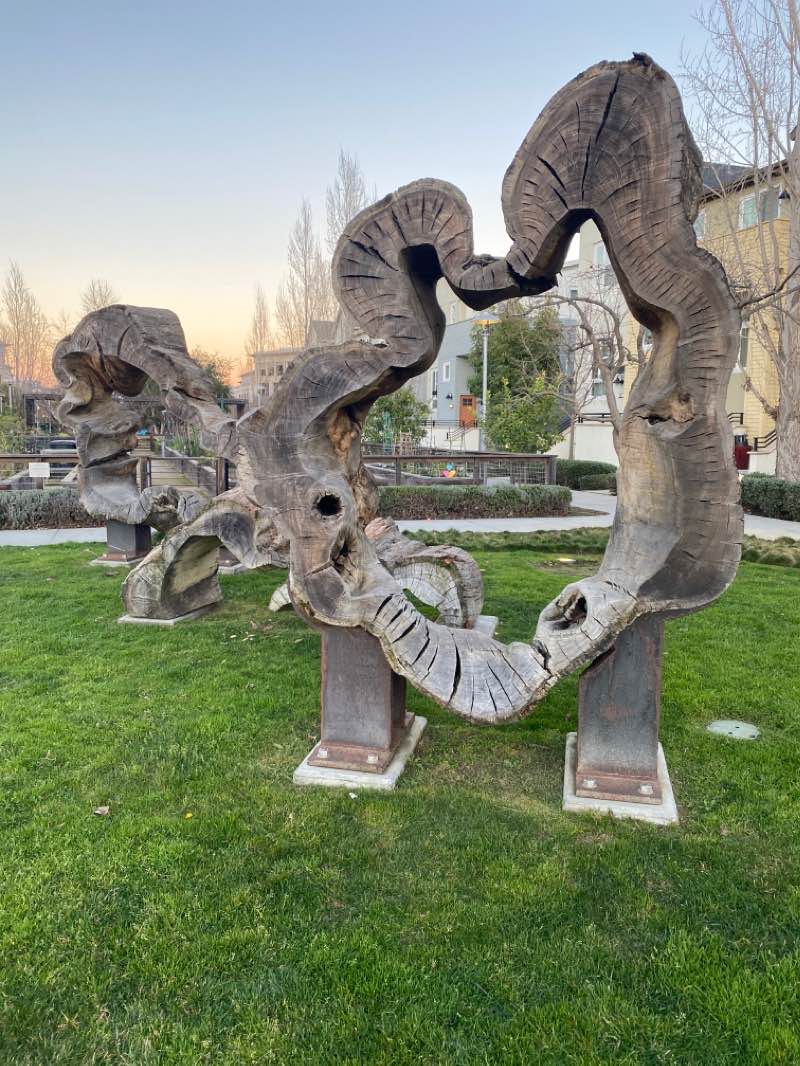 walking near me in Paddock Park in winter