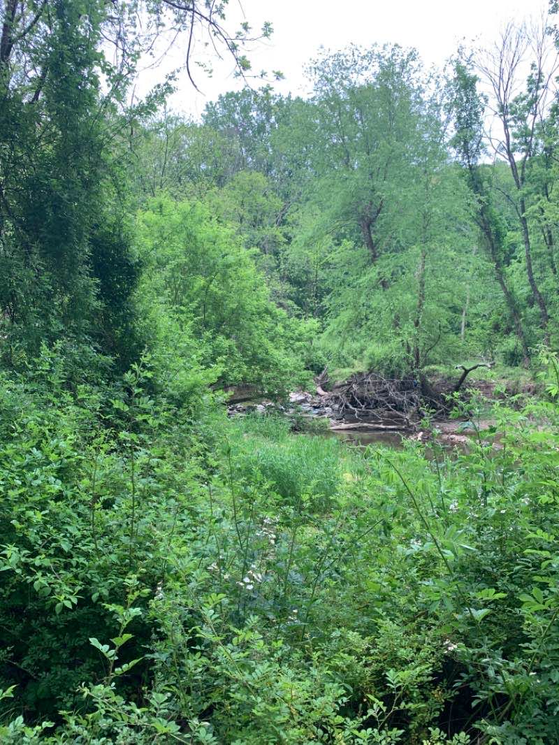 walking near me in Lakelands Stream Valley Park in winter