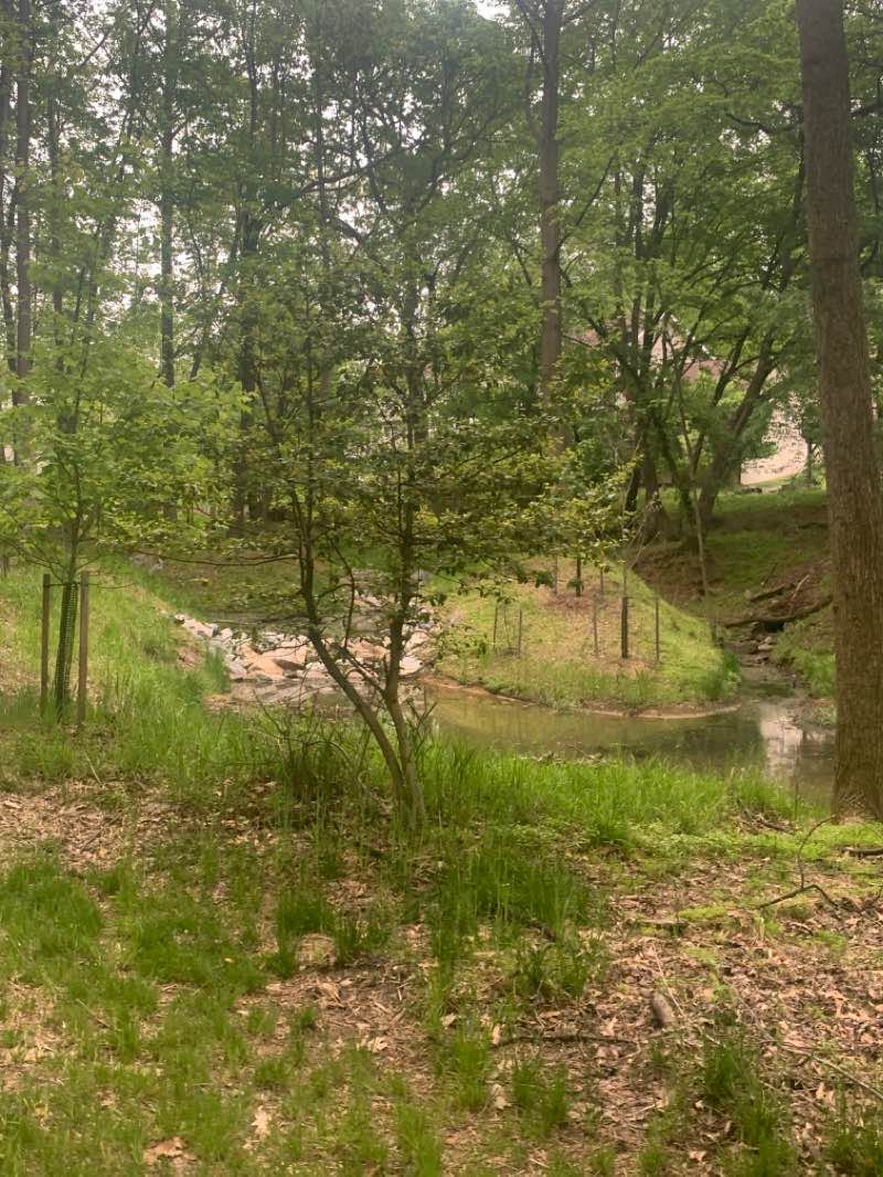 walking near me in Muddy Branch Stream Valley Park in winter