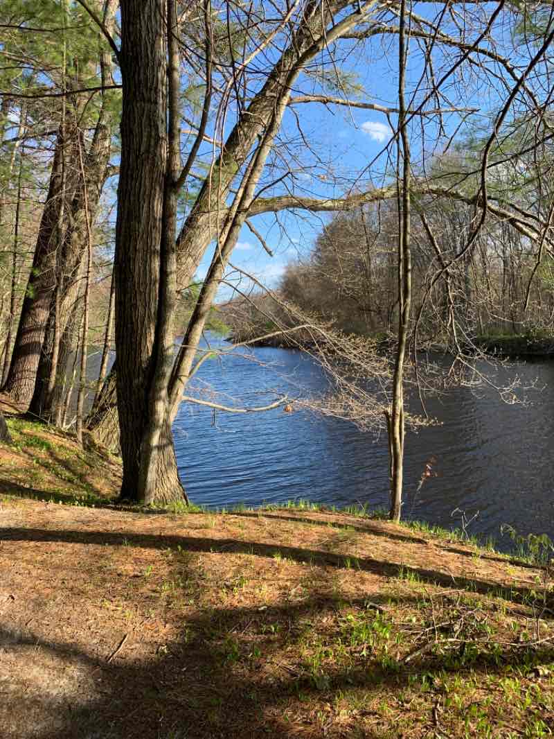 walking near me in Beckwith Park in winter