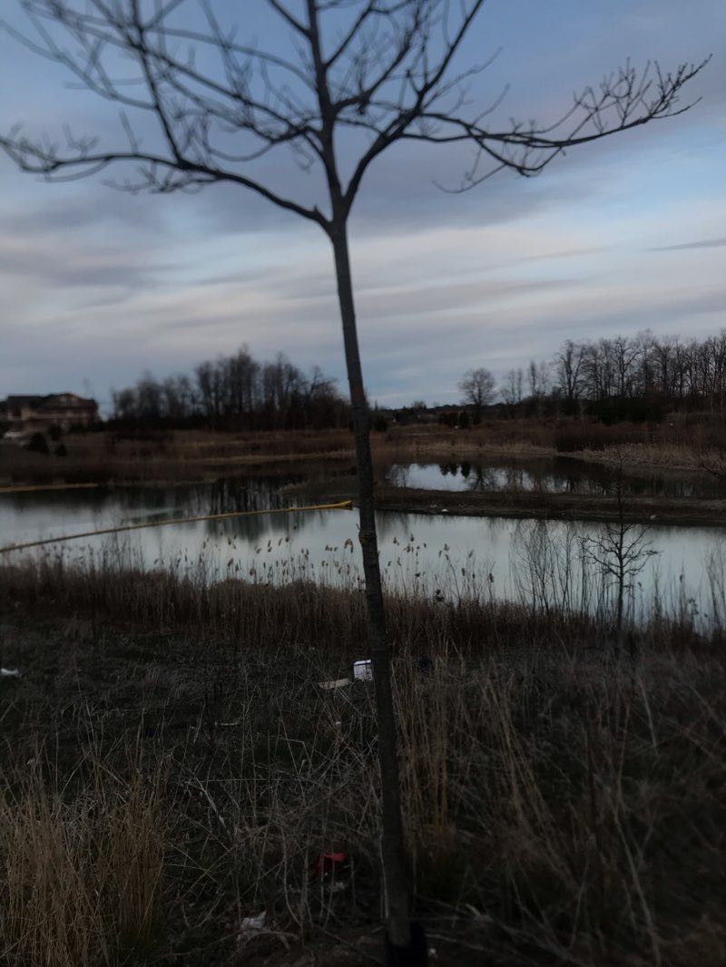 walking near me in Lina Marino Park in winter
