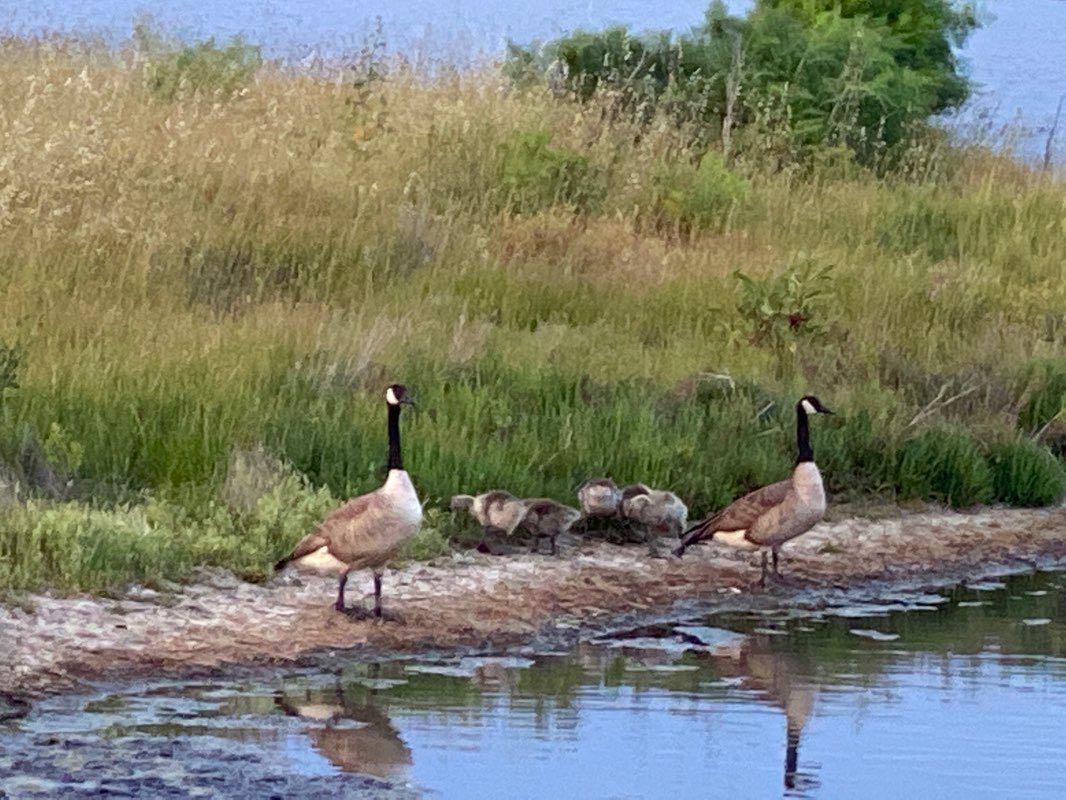 walking near me in San Clemente Park in winter