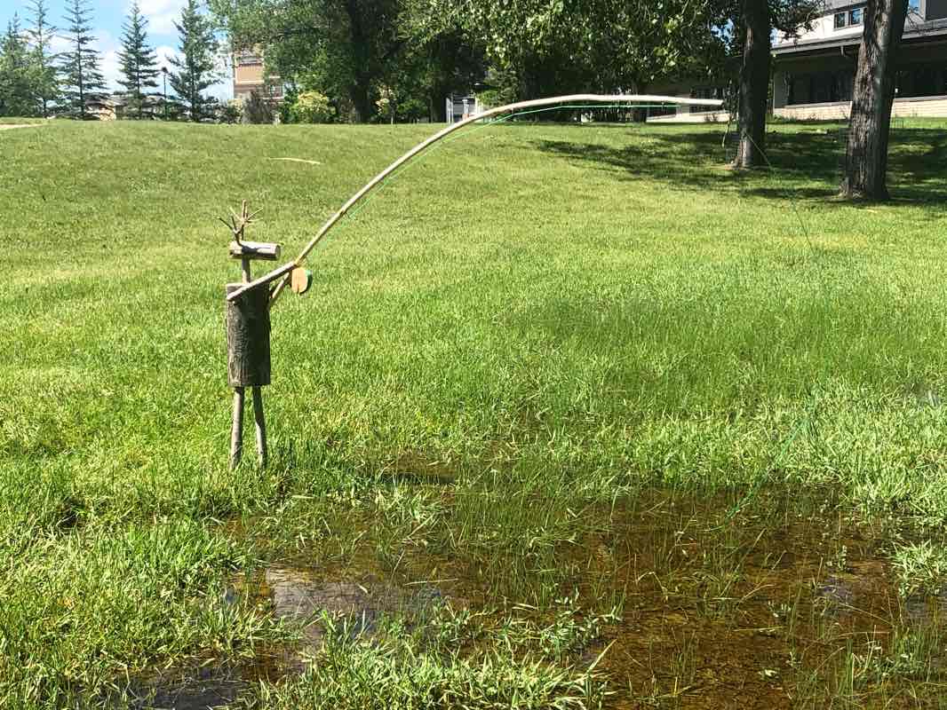 walking near me in Assiniboine Park in winter
