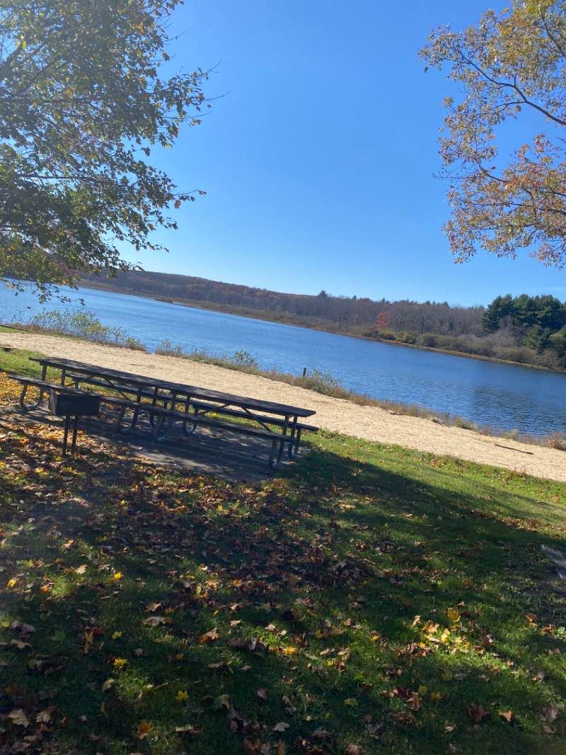 walking near me in Potomac/Garrett State Forest in winter