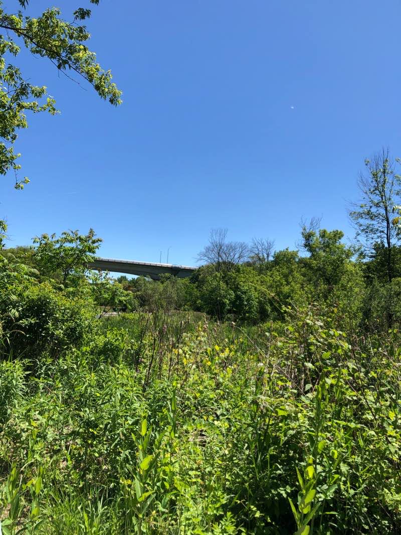 walking near me in Erindale Park in winter