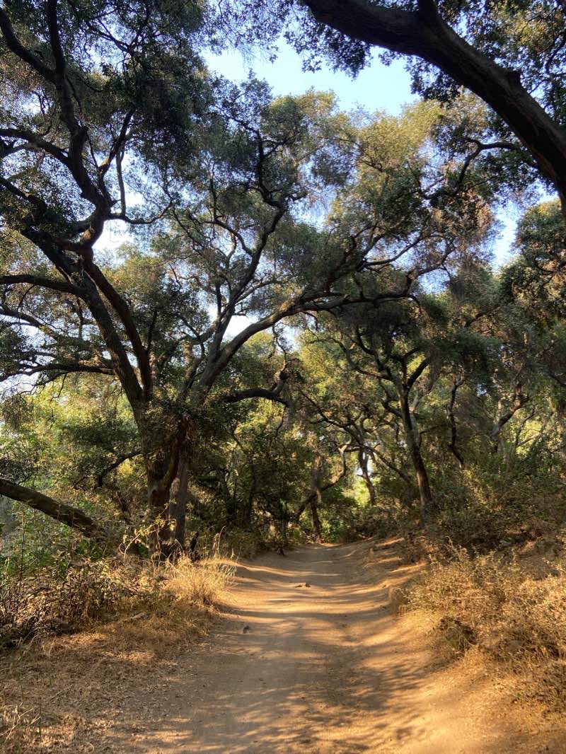 walking near me in Marshall Canyon Regional Park in winter