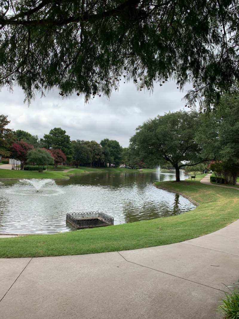 walking near me in Les Lacs Linear Park - Dog Trail in winter