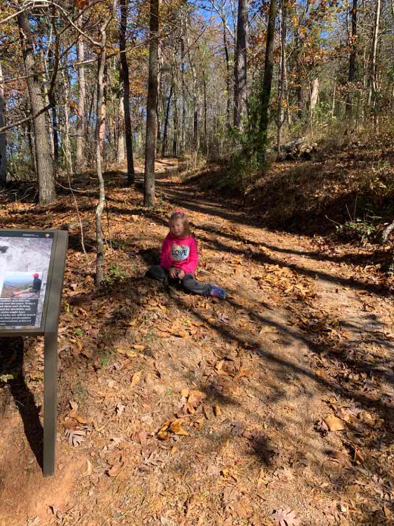 walking near me in Arlington Lawn in winter