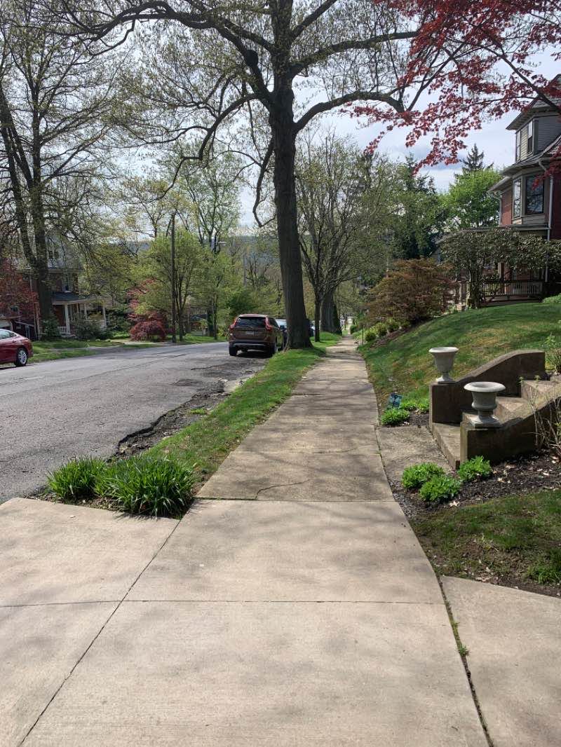 walking near me in Ways Garden Park in winter