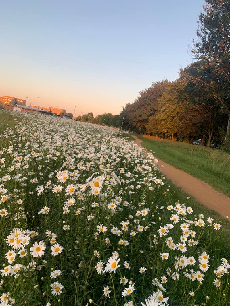 walking near me in Knights Gardens in winter