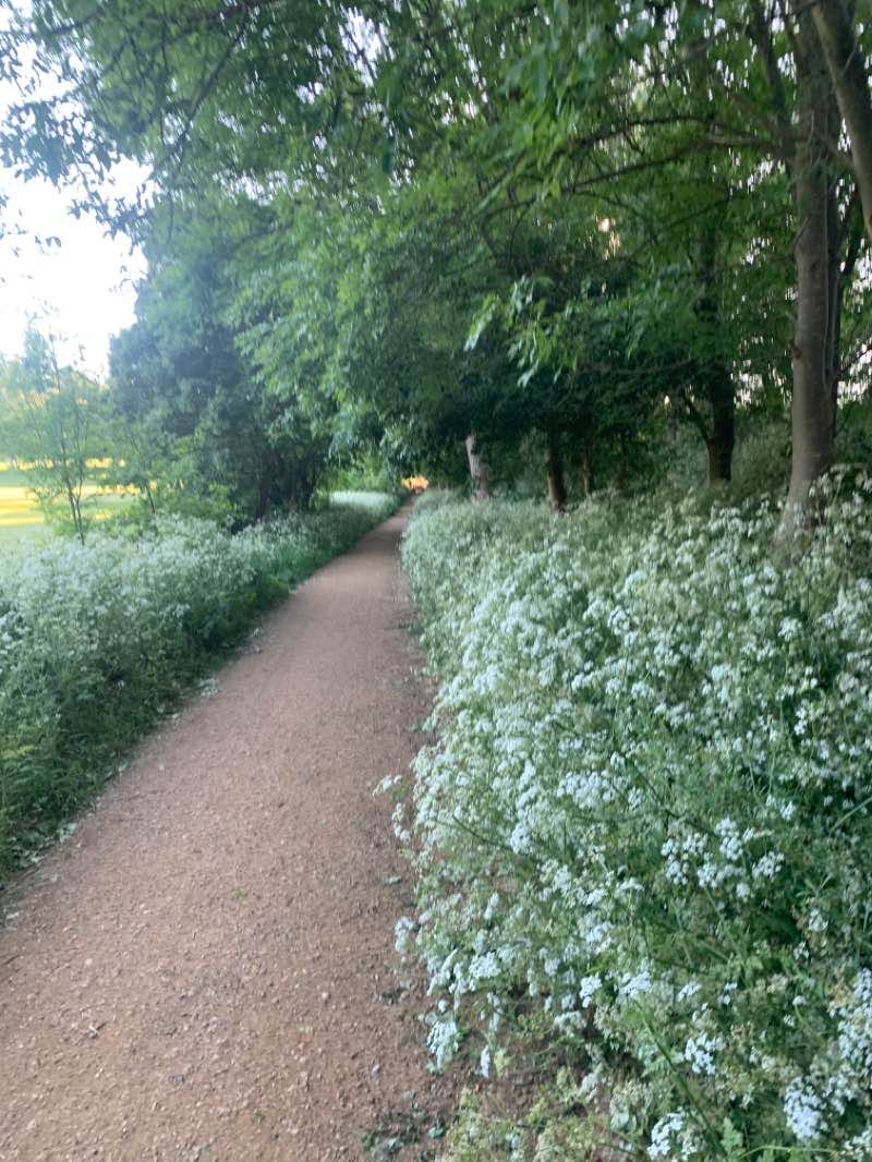 walking near me in Minet Country Park in winter