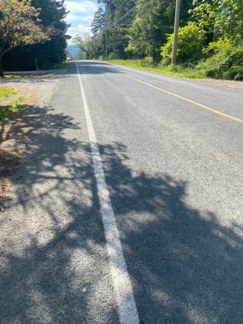 walking near me in Saanich Fairgrounds in winter