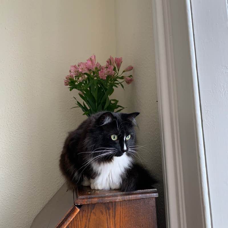 Gita 🇱🇹🏴󠁧󠁢󠁳󠁣󠁴󠁿 post 1