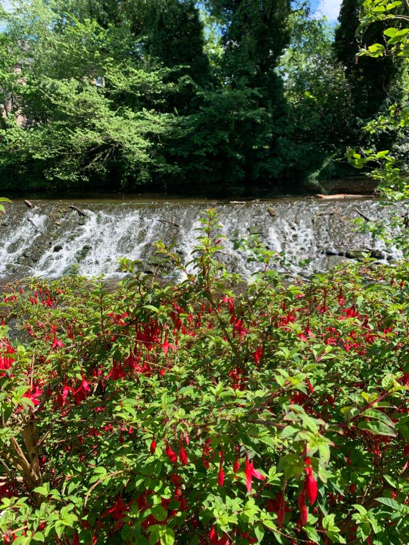 walking near me in Victoria Park in winter