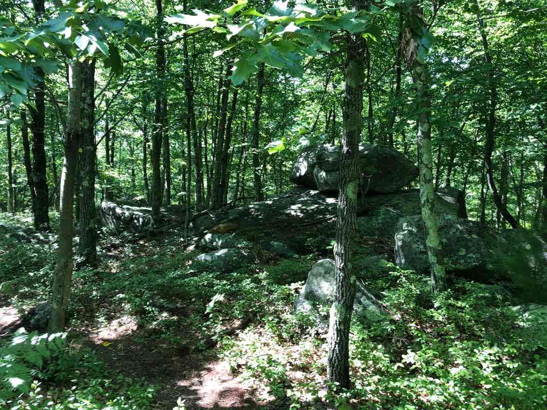 walking near me in Inter Lochen Park in winter