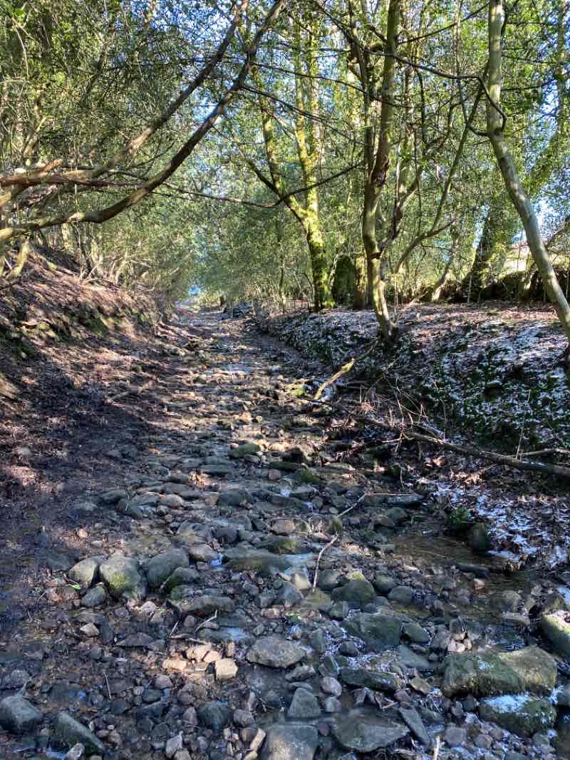 walking near me in Alkincoats Park in winter