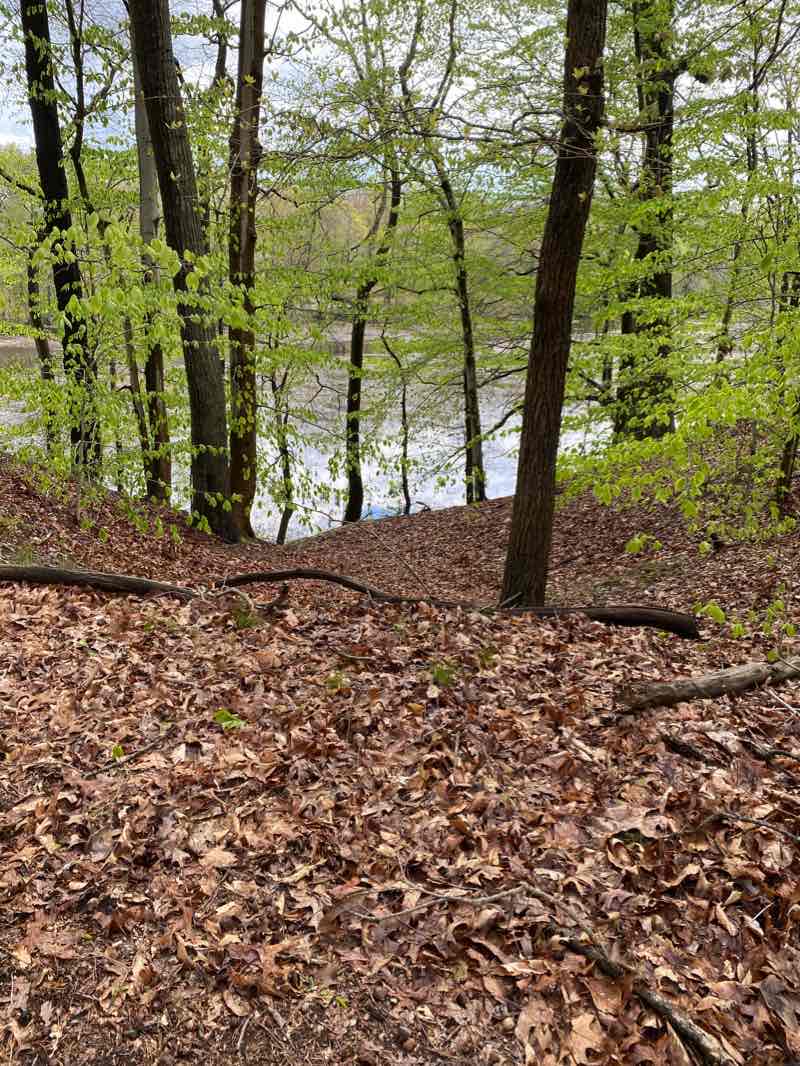 walking near me in Rancocas State Park in winter