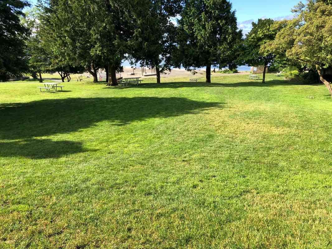 walking near me in Dundarave Park in winter