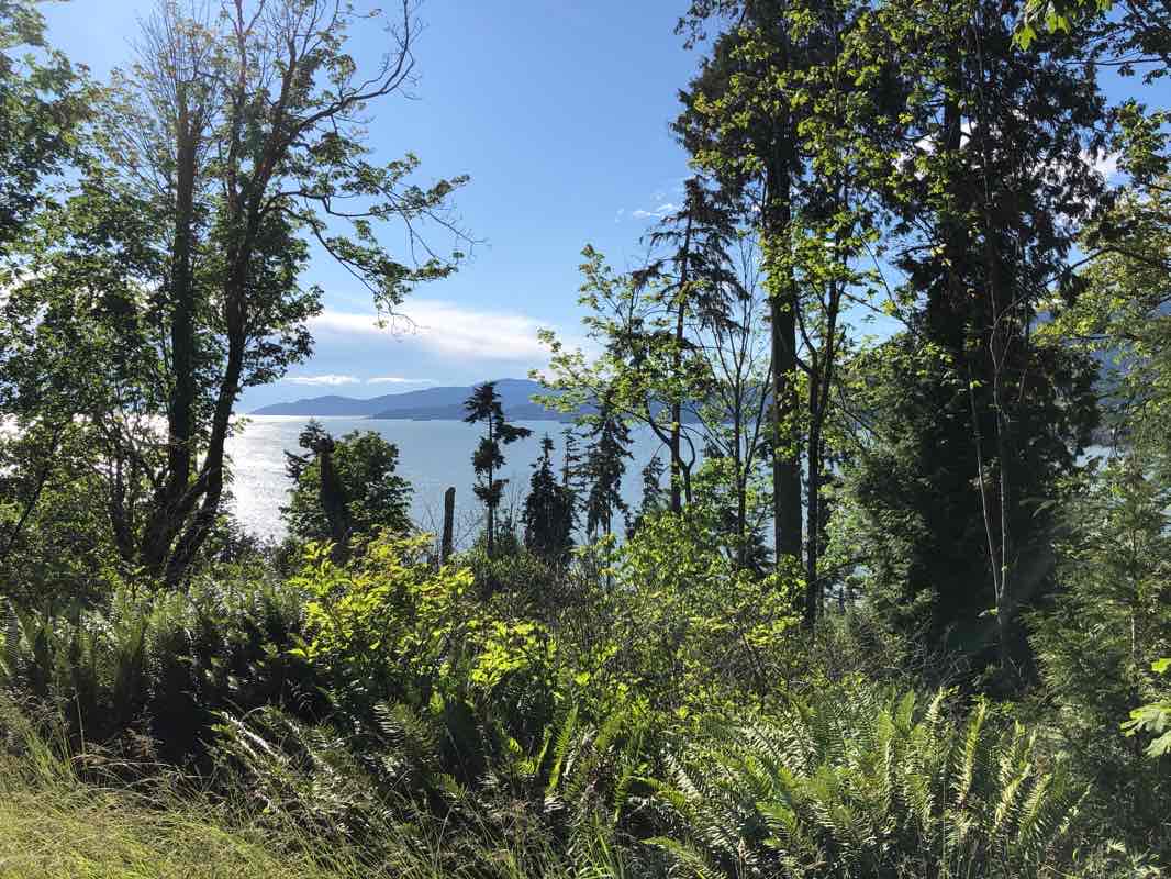 walking near me in Ambleside Park in winter