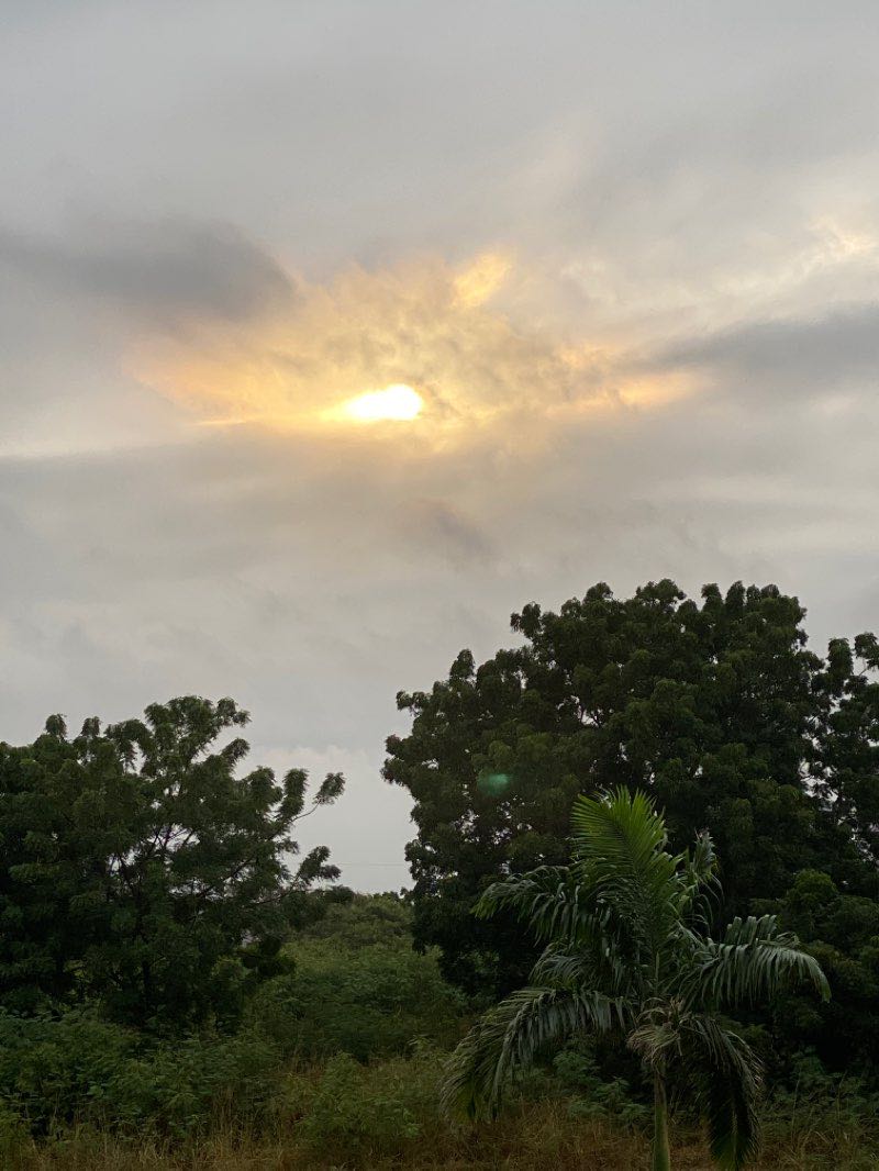 walking near me in University of Ghana Botanical Gardens in winter