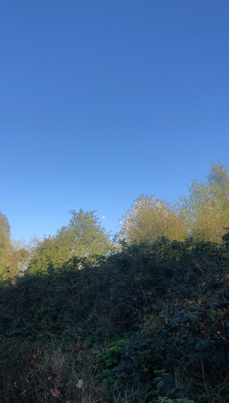 walking near me in Saint Catherine's Park in winter