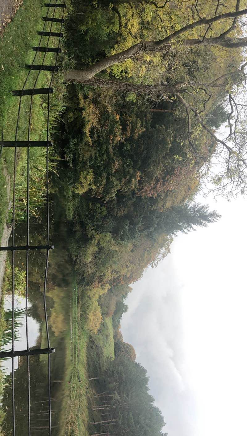 walking near me in Porterstown Park in winter