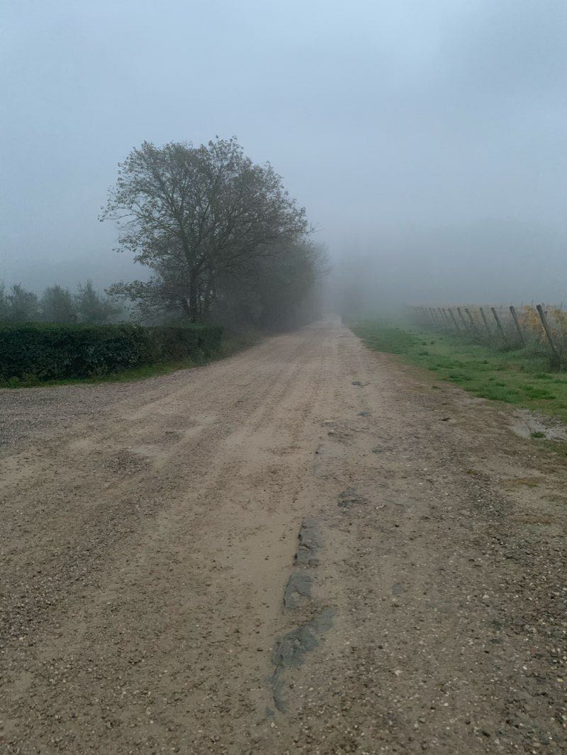 walking near me in Parco Fiorentina in winter