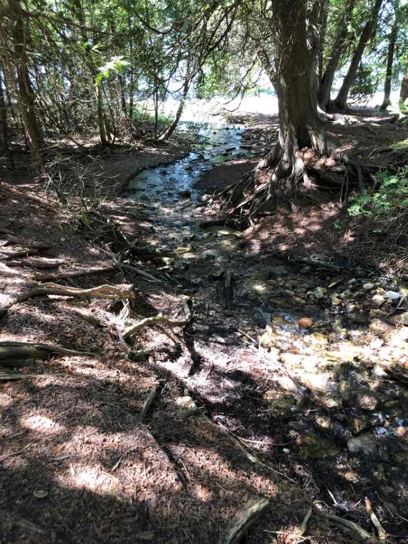 walking near me in Marquette park in winter