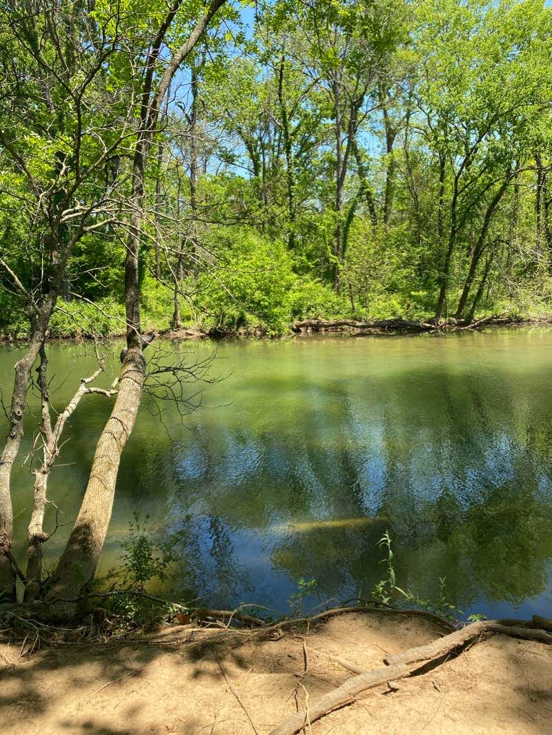 walking near me in Drakes Creek Park in winter