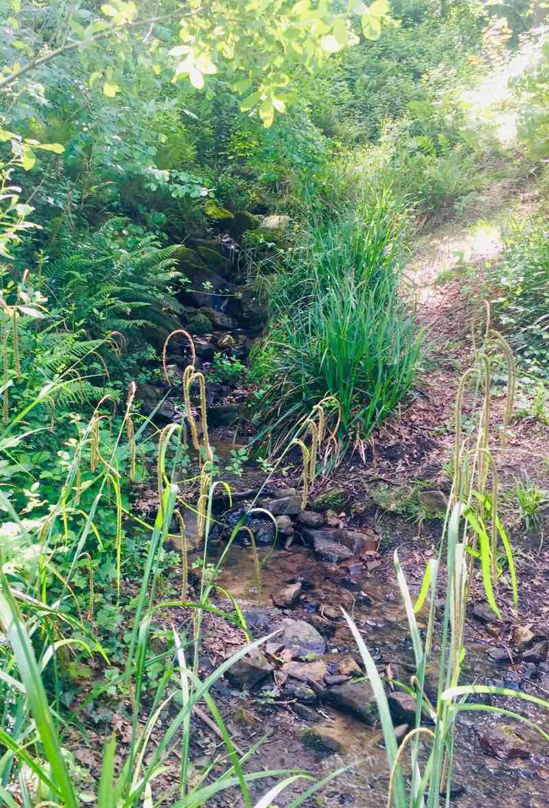walking near me in Lehendakari parkea in winter