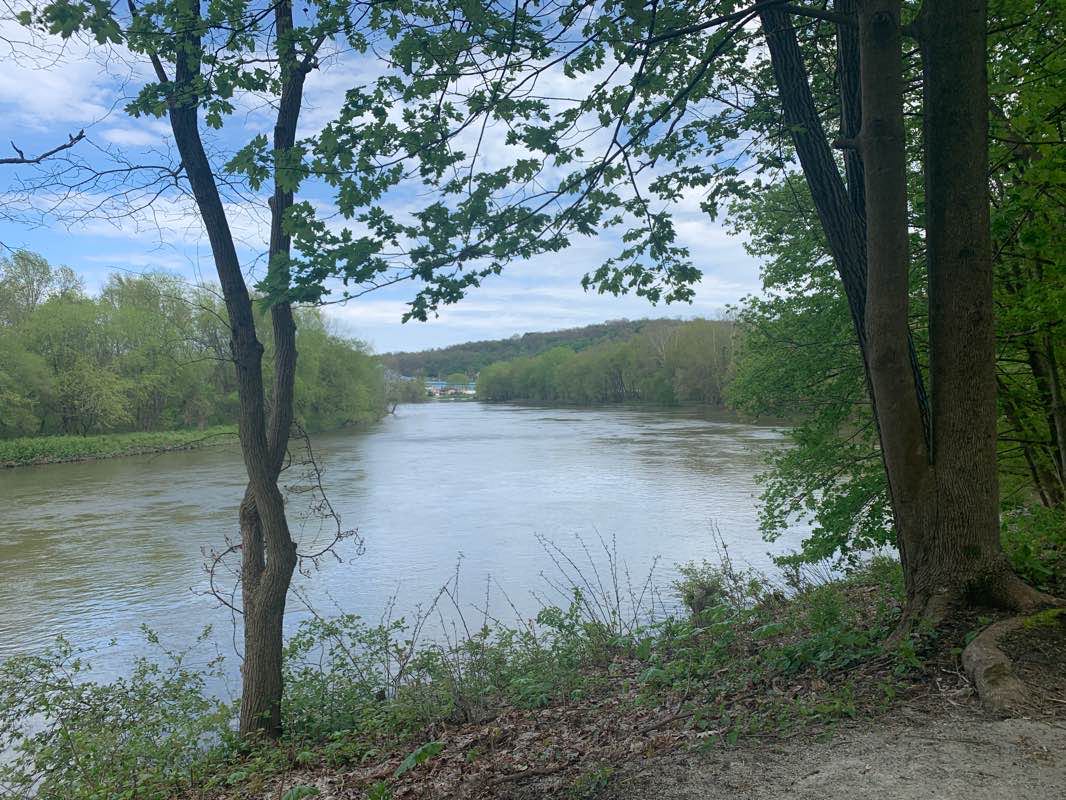 walking near me in Dead Man's Hollow Conservation Area in winter