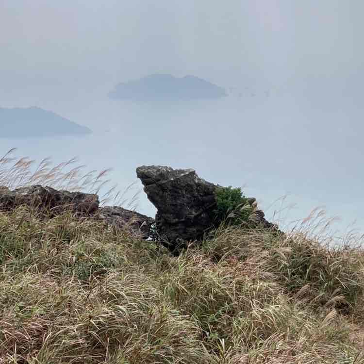 WOng KW ai post 2