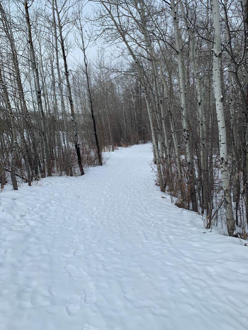 walking near me in Devon Voyageur Park in winter