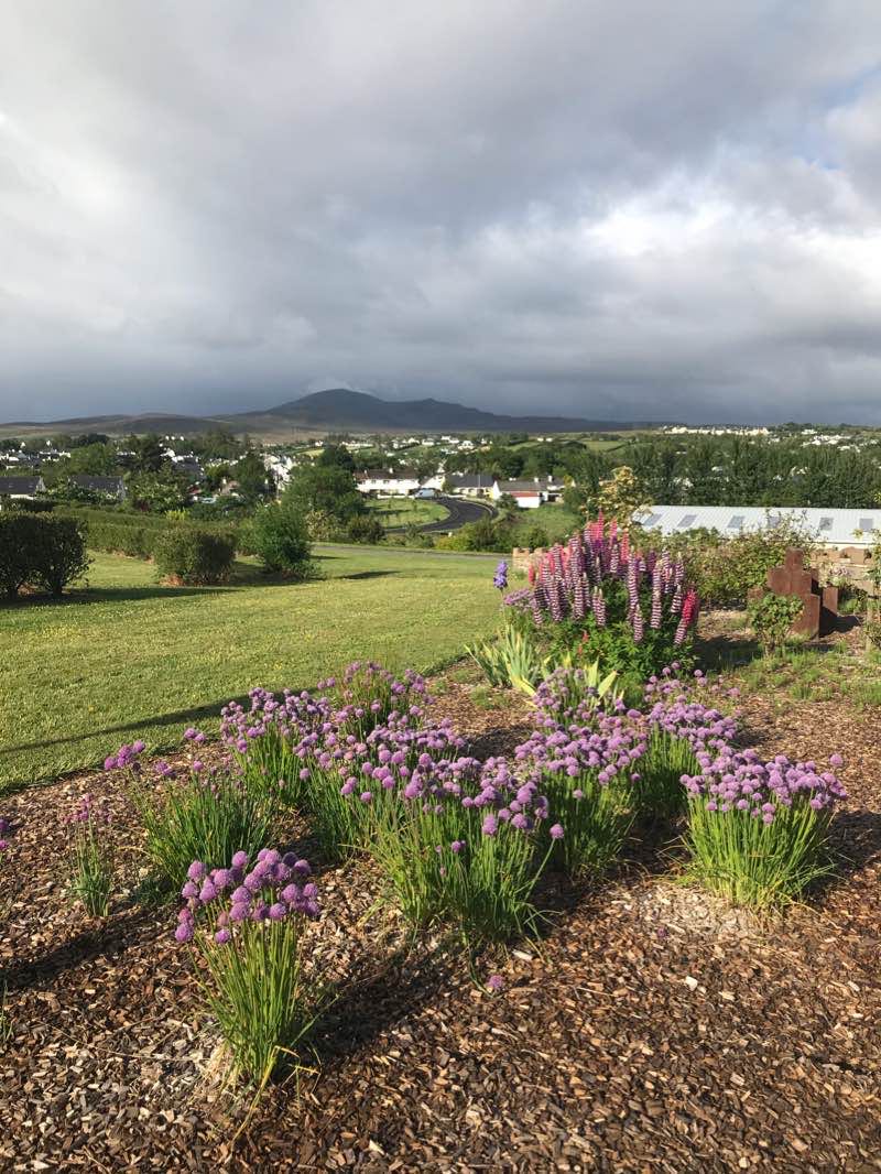 walking near me in Barrack Hill Park in winter