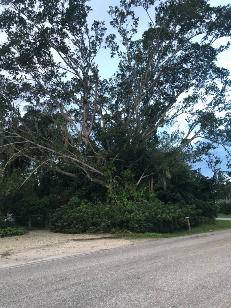 walking near me in Riverside Park in winter