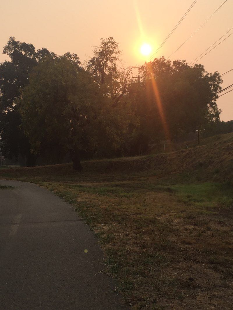 walking near me in Manuel J Barandes Park in winter