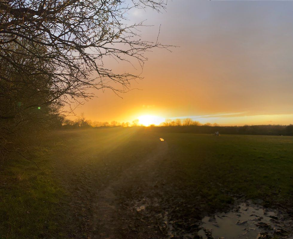 walking near me in Chigwell Meadows in winter