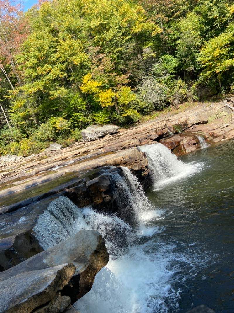 walking near me in Beaver Dam Wildlife Management Area in winter