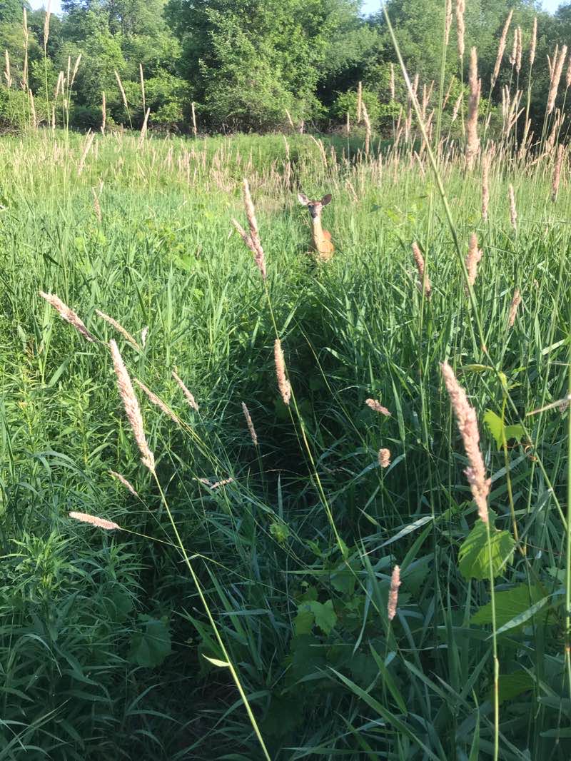 walking near me in Dick's Dam Park in winter