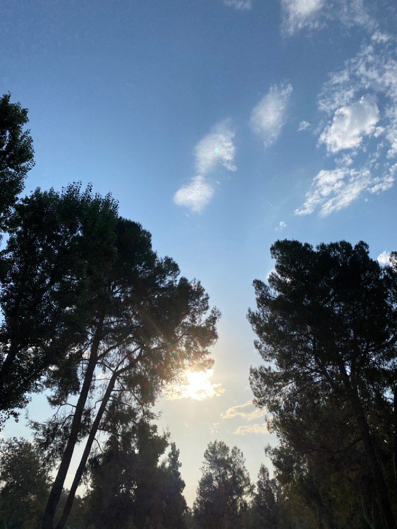 walking near me in Yorba Regional Park in winter