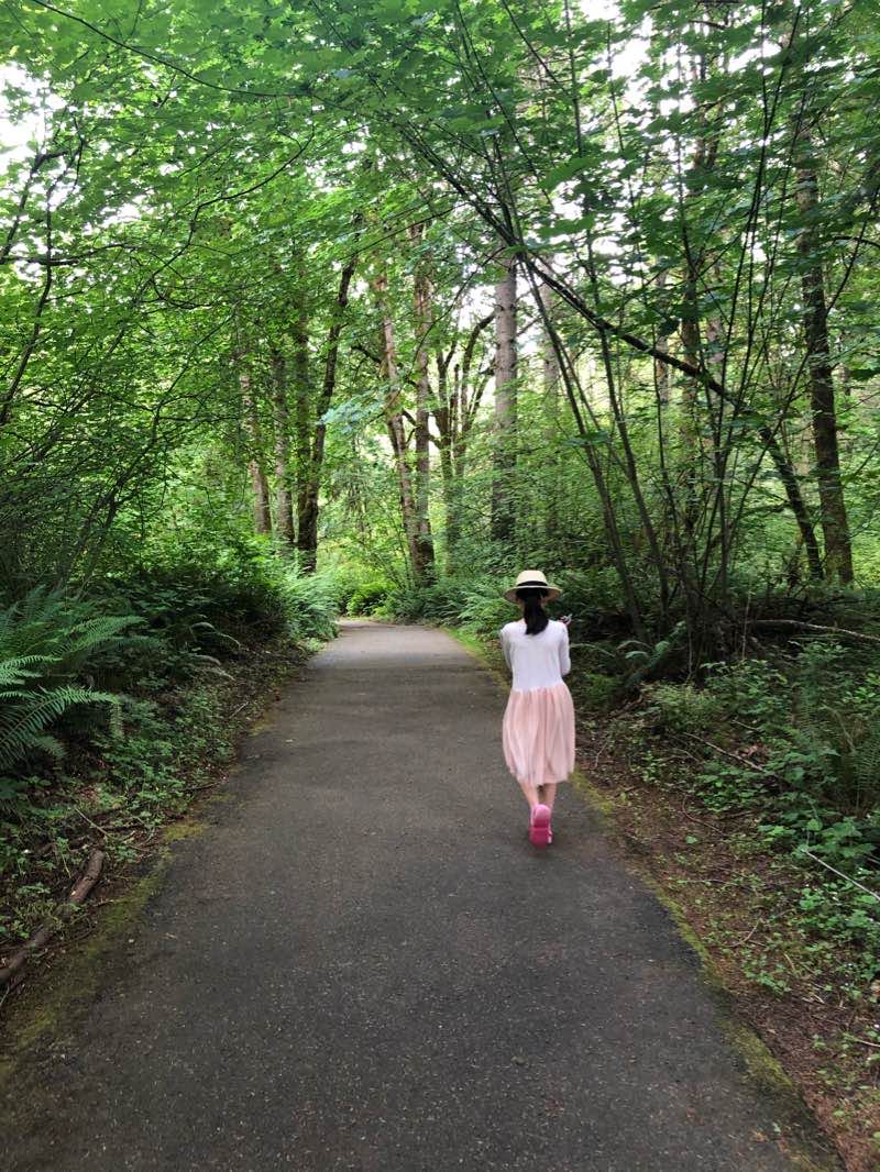 walking near me in Beaver Lake Park in winter