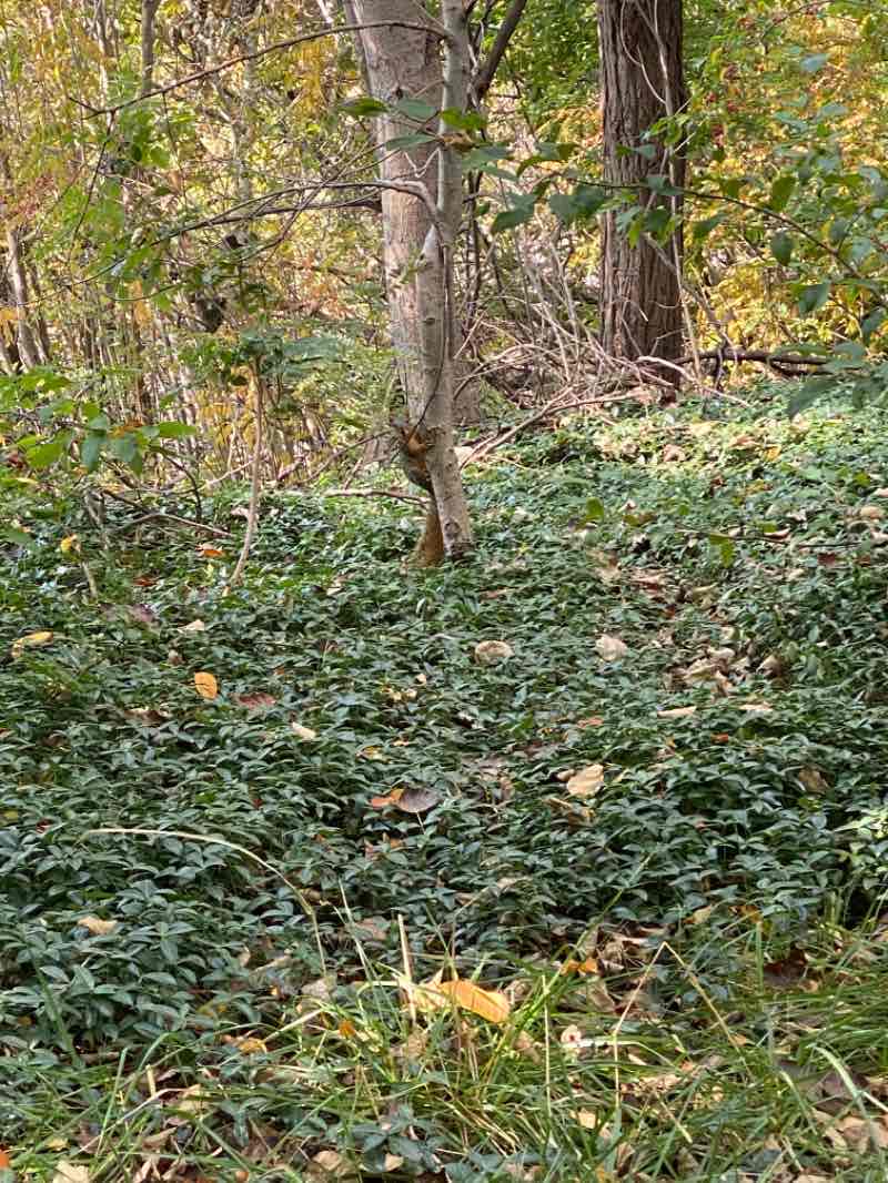 walking near me in Kathryn Albertson Park in winter