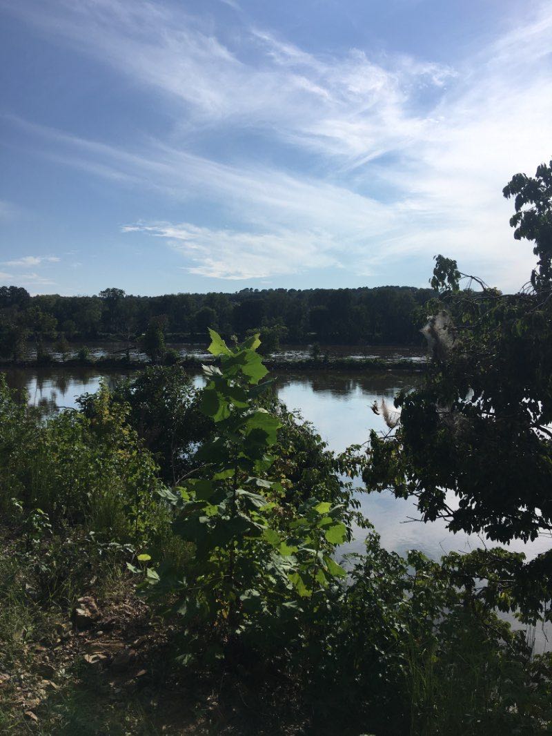 walking near me in Riverview Park in winter
