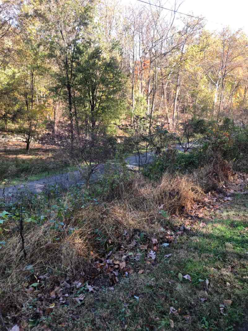 walking near me in Fillmore Park in winter