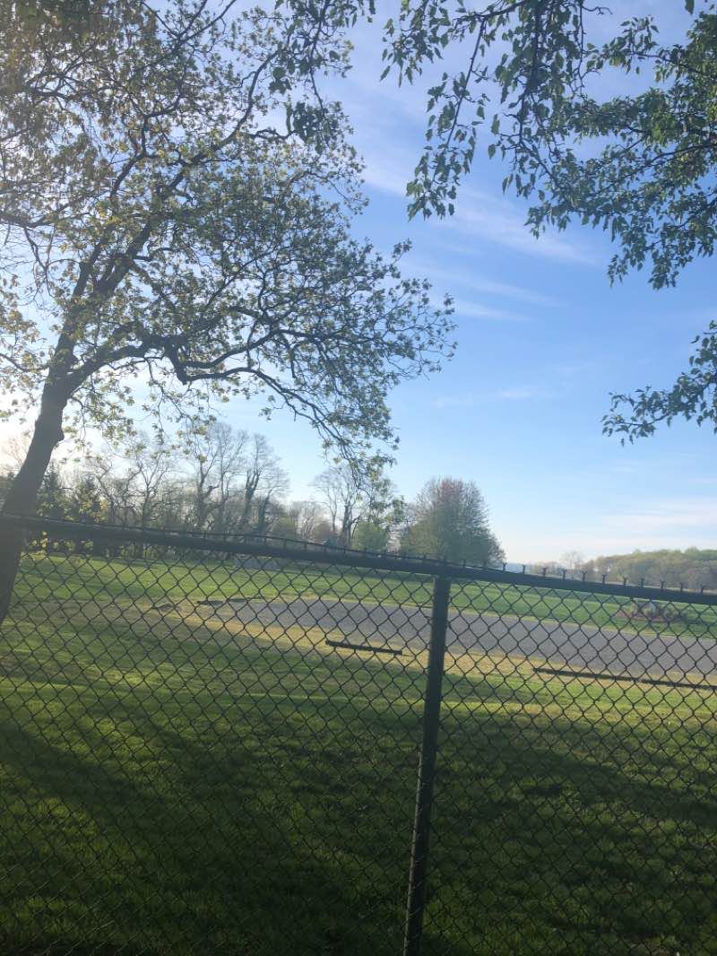 walking near me in Shore Park in winter