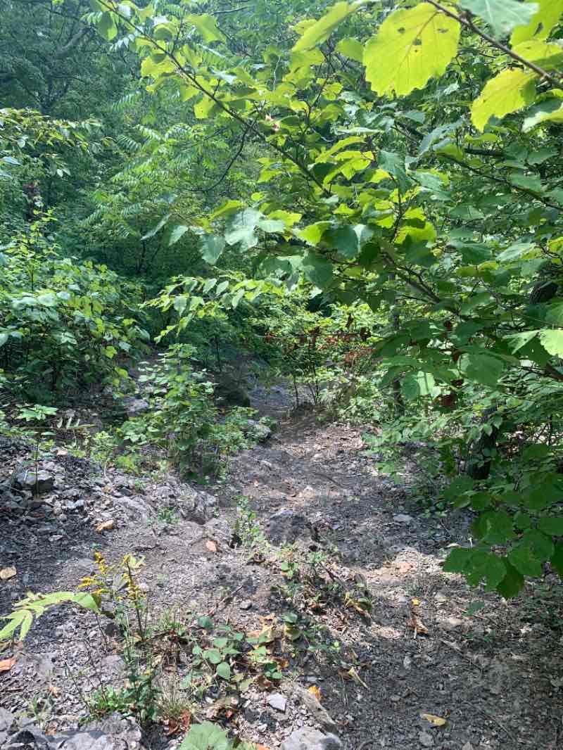 walking near me in Hardenbergh Park in winter